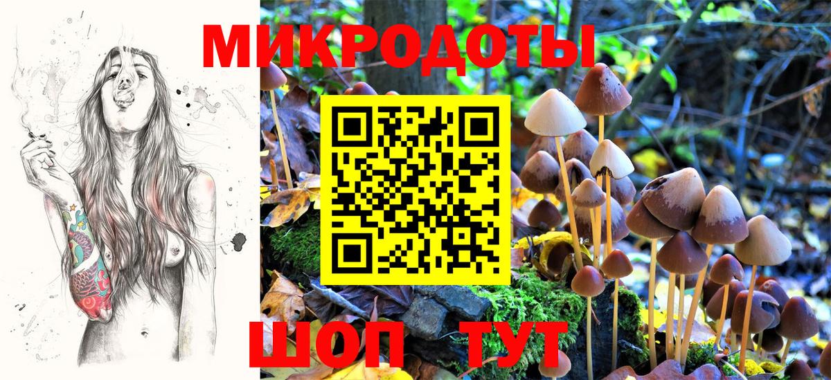 хочу наркоту  Псилоцибиновые грибы Magic Shrooms  Вход с VPN  Чайковский 