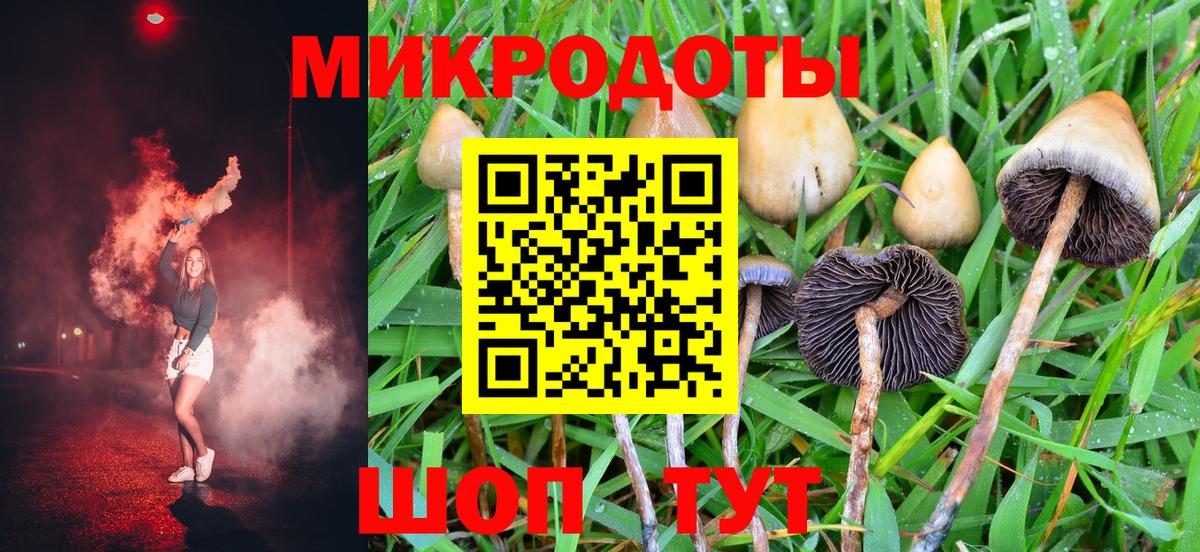 Псилоцибиновые грибы ЛСД Чайковский
