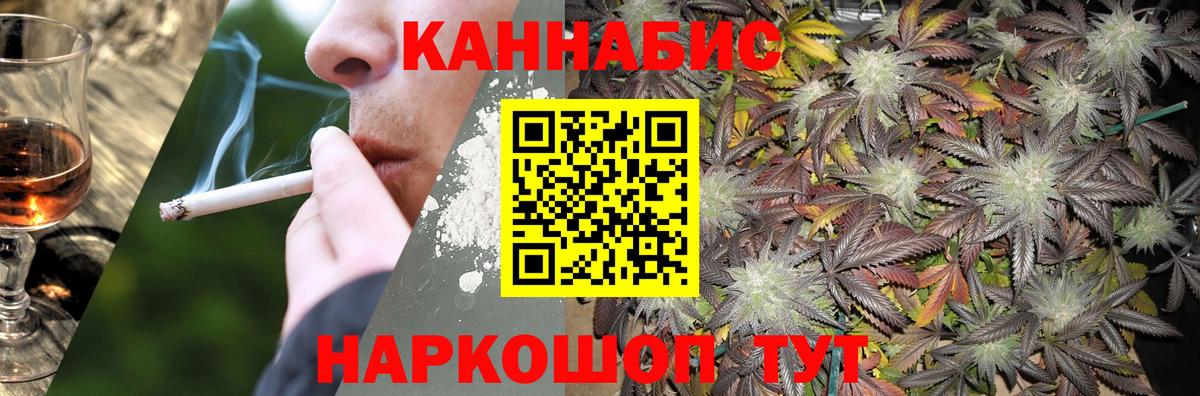 Чайковский  Каннабис гибрид  Вход с VPN  Шишки марихуана Ganja  Каннабис White Widow 